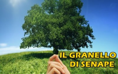 IL GRANELLO DI SENAPE