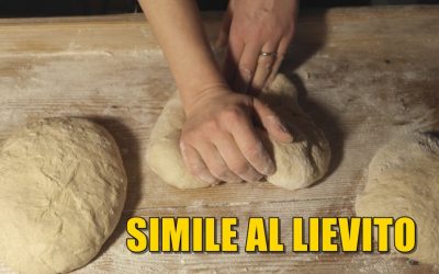 SIMILE AL LIEVITO