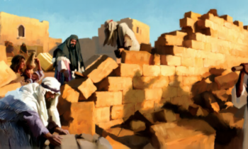 COSA STAI COSTRUENDO?